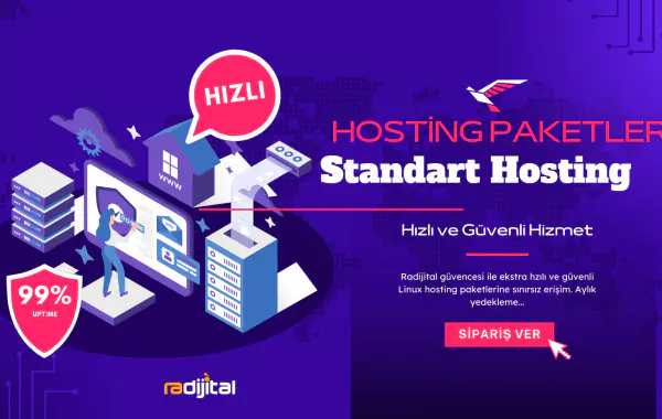Standart Hosting Paketi